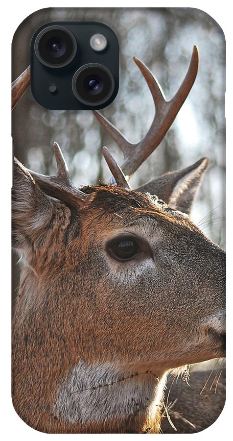 Whitetail iPhone Case featuring the photograph Eight Point Up Close 1100 by Michael Peychich