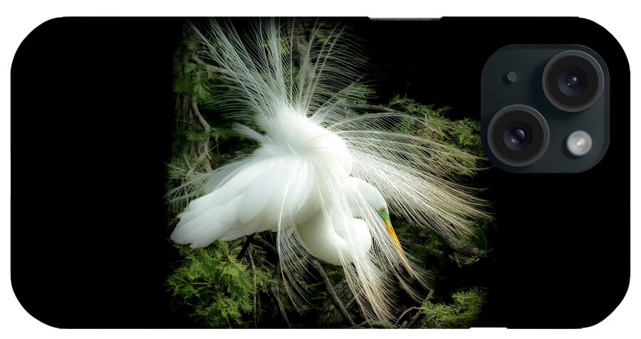White Egret iPhone Case featuring the photograph ELEGANCE of CREATION by Karen Wiles