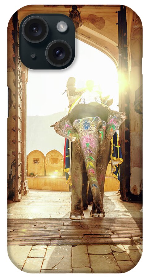 Working Animal iPhone Case featuring the photograph Elephant At Amber Palace Jaipur,india by Mlenny