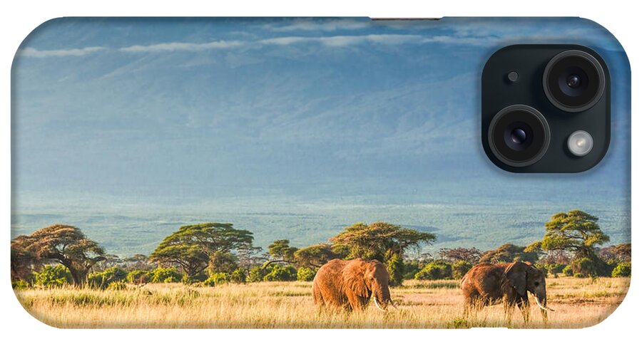 Scenics iPhone Case featuring the photograph Elephants In Front Of Mount Kilimanjaro by 1001slide