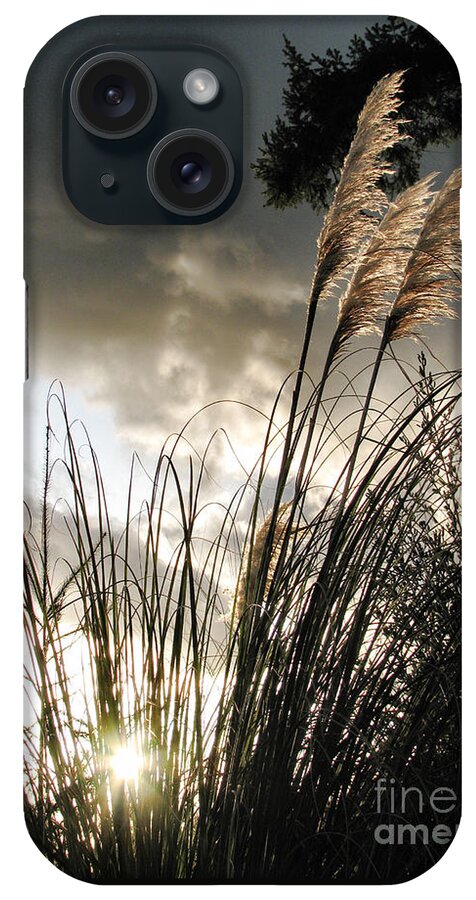 Landscape iPhone Case featuring the photograph Embracing The Mystery by Rory Siegel