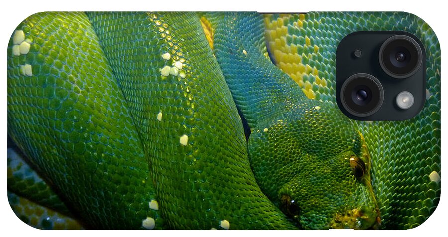 Emerald Tree Python iPhone Case featuring the photograph Emerald Trouble by Susan Duda