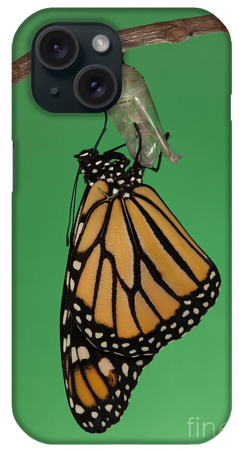 Clarence Holmes iPhone Case featuring the photograph Emergence I by Clarence Holmes