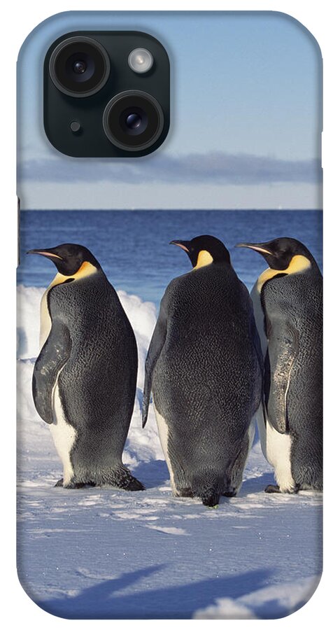 Feb0514 iPhone Case featuring the photograph Emperor Penguin Trio On Edge Of Ice by Konrad Wothe