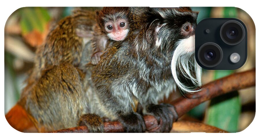 Animal iPhone Case featuring the photograph Emperor Tamarin With Young by Art Wolfe