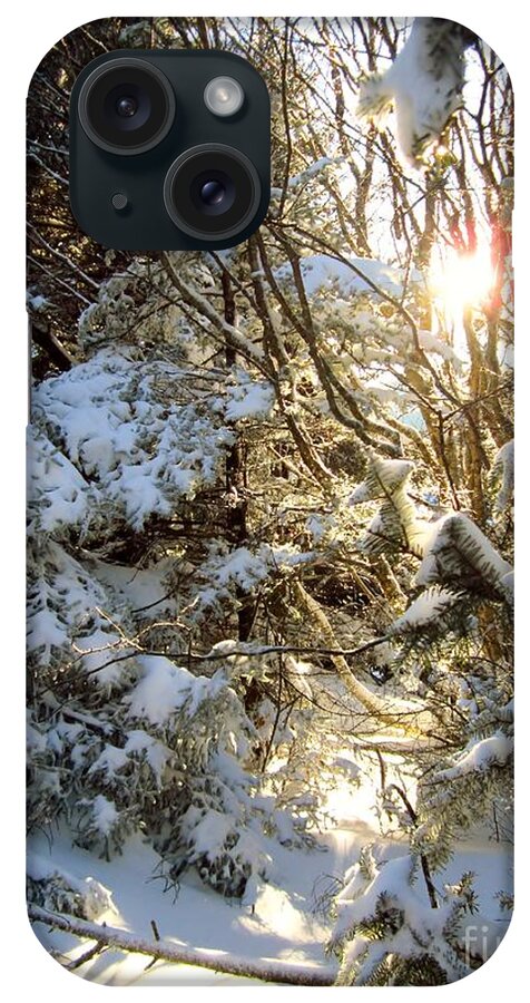 Roan Mountain State Park iPhone Case featuring the photograph Enchanted Winter by Cynthia Clark