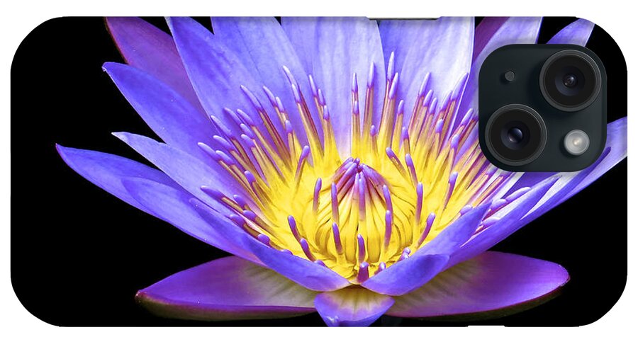 Water Lily iPhone Case featuring the photograph End of Summer Bloom by Kathi Isserman