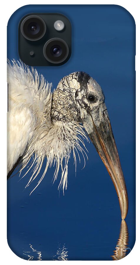 Woodstork iPhone Case featuring the photograph Endangered Woodstork Reflection by Kathy Baccari