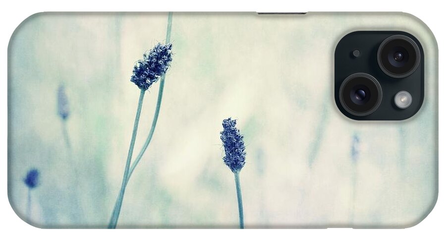 Blue iPhone Case featuring the photograph Endearing by Priska Wettstein