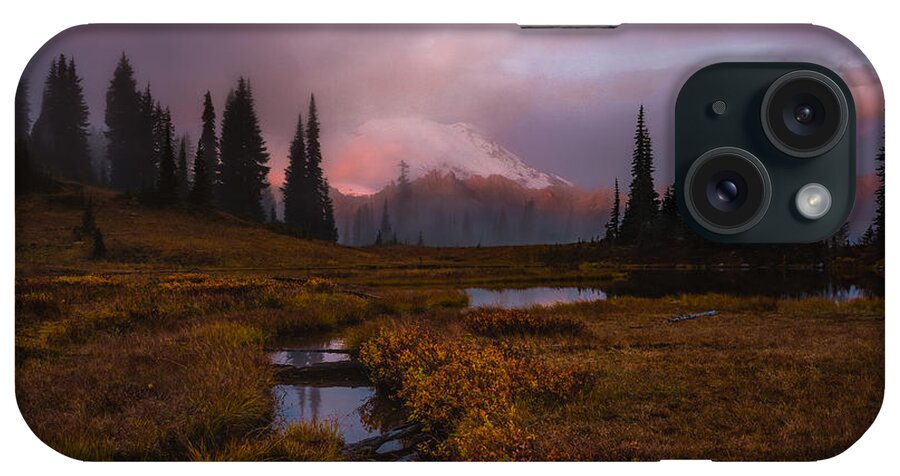 Fineartnature.com iPhone Case featuring the photograph Engulfed II by Gene Garnace
