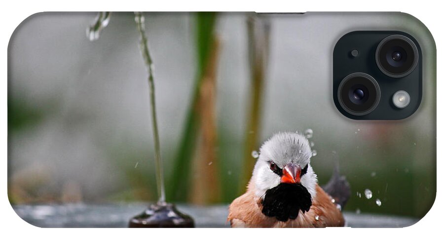 Bird iPhone Case featuring the photograph Enjoying my shower by Lily K