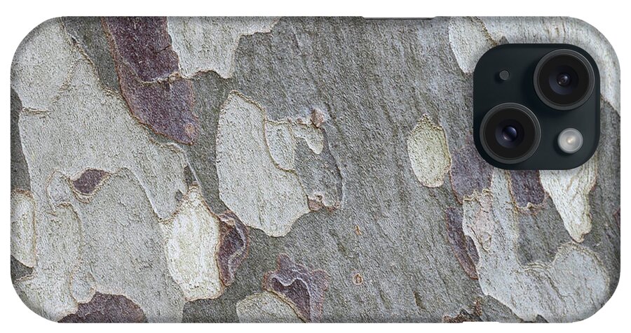 Aging Process iPhone Case featuring the photograph Eucalyptus Tree Bark Full Frame by Tom And Steve