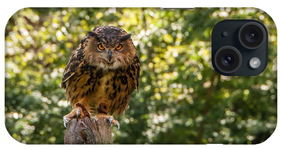 Owl iPhone Case featuring the photograph Eurasian Eagle Owl by Anthony Sacco