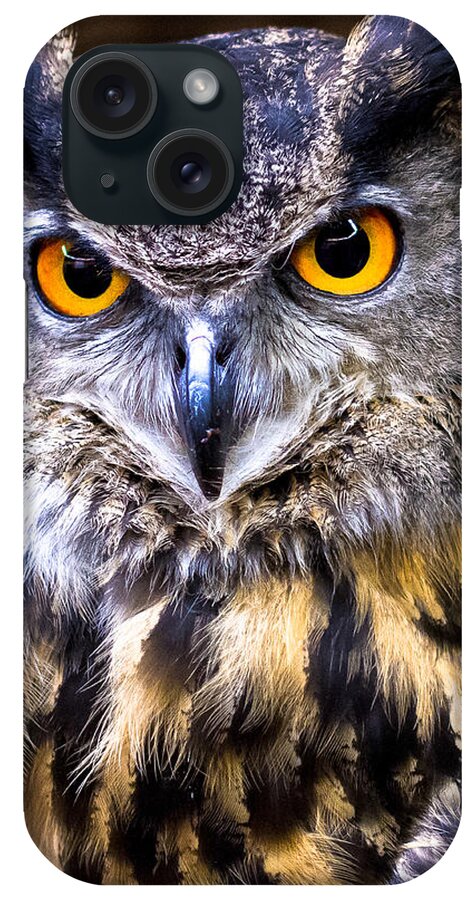 Eurasian Eagle-owl iPhone Case featuring the photograph Eurasian Eagle-Owl by Robert L Jackson