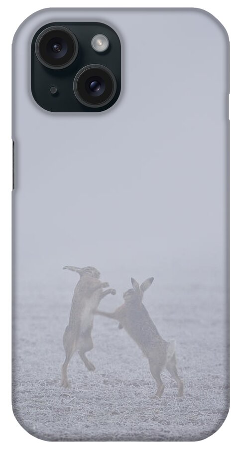 Flpa iPhone Case featuring the photograph European Hares Boxing by Elliott Neep