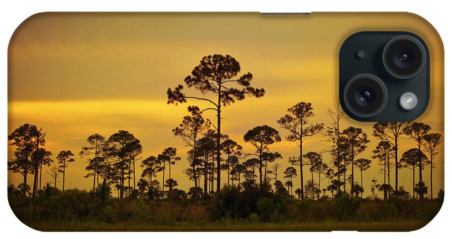 Landscape iPhone Case featuring the photograph Evening at St. Joe by Toni Hopper