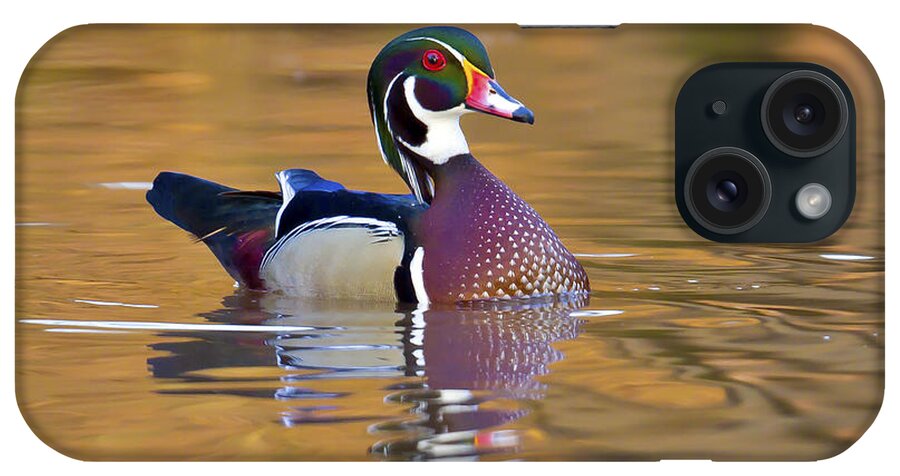 Duck iPhone Case featuring the photograph Ever alert by Jim E Johnson