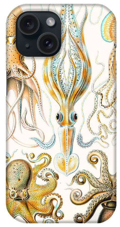 Haeckel iPhone Case featuring the drawing Examples of various Cephalopods by Ernst Haeckel