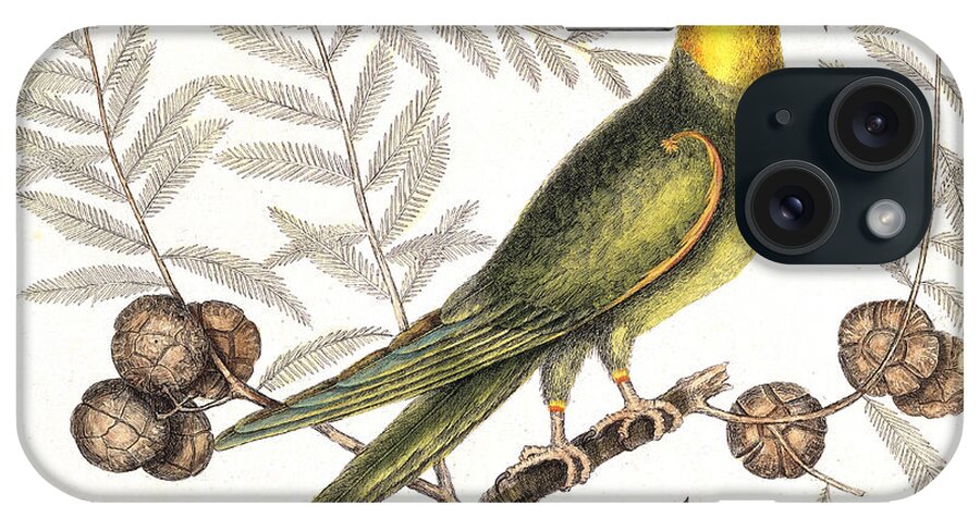 Historic iPhone Case featuring the photograph Extinct Carolina Parakeet, 1731 by Wellcome Images