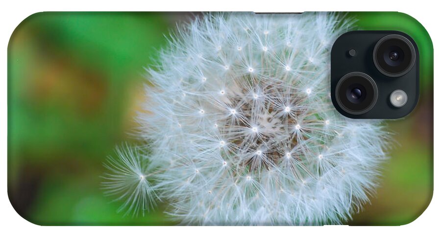Terry Deluco iPhone Case featuring the photograph Extra Little Dandelion Wish by Terry DeLuco