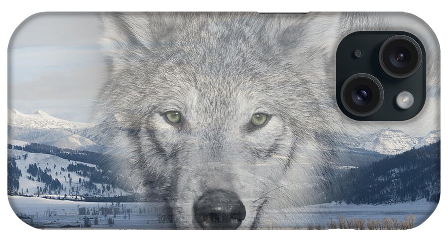 Wolf iPhone Case featuring the photograph Eyes of the Beholder by Sandra Bronstein