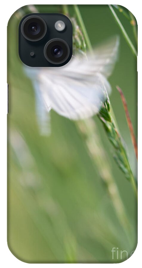 Butterfly iPhone Case featuring the photograph Fairy Butterfly by Jivko Nakev