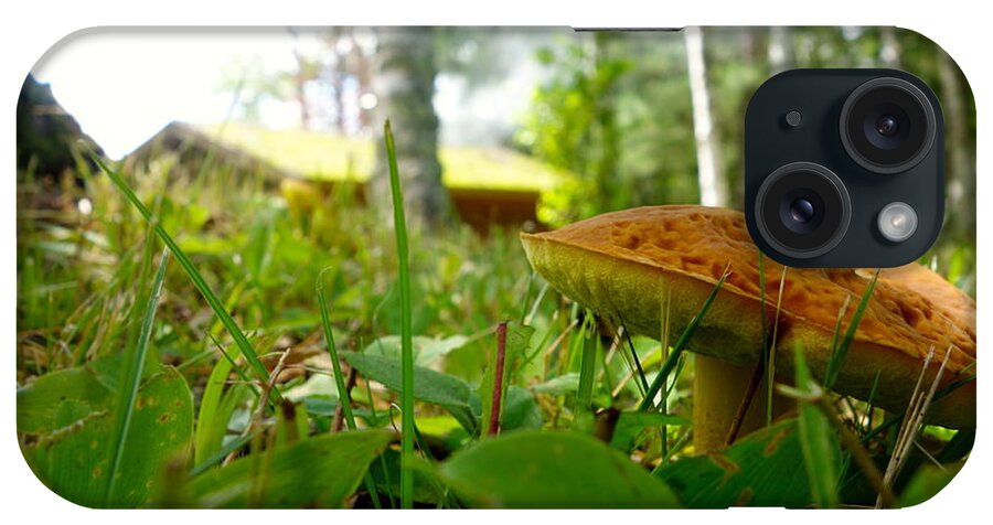 Fungi iPhone Case featuring the photograph Fairy Home by Jacqueline Athmann