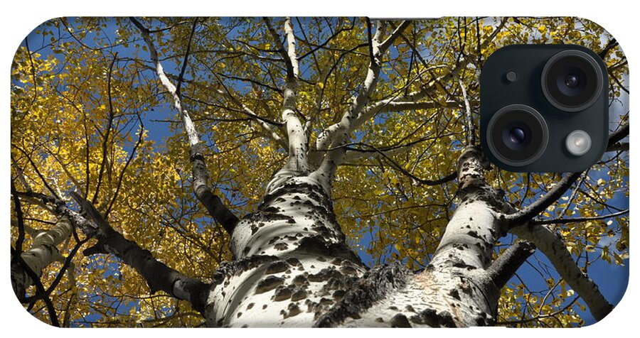 Gold iPhone Case featuring the photograph Fall Aspen by Frank Madia