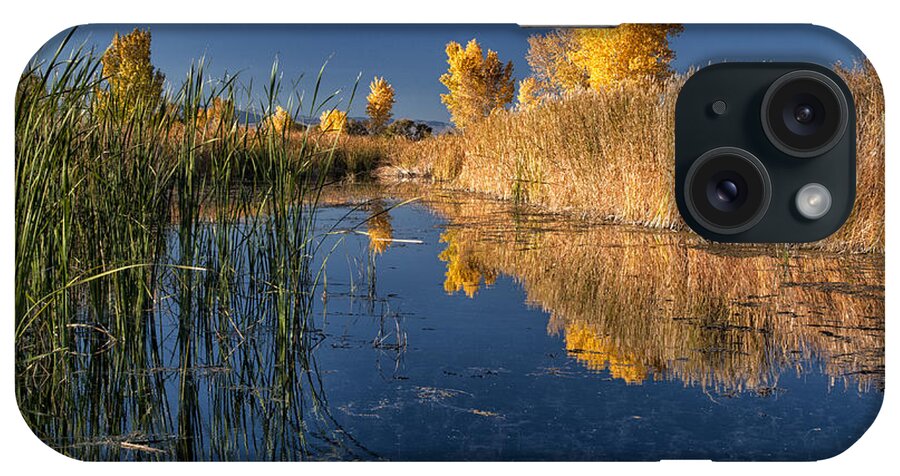 Water iPhone Case featuring the photograph Fall at the Canal by Cat Connor