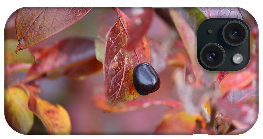 Fall iPhone Case featuring the photograph Fall Berry by Ann E Robson