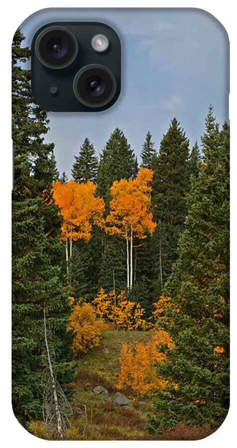 Fall Colors iPhone Case featuring the photograph Fall Colors 2 Greeting Card by Ernest Echols