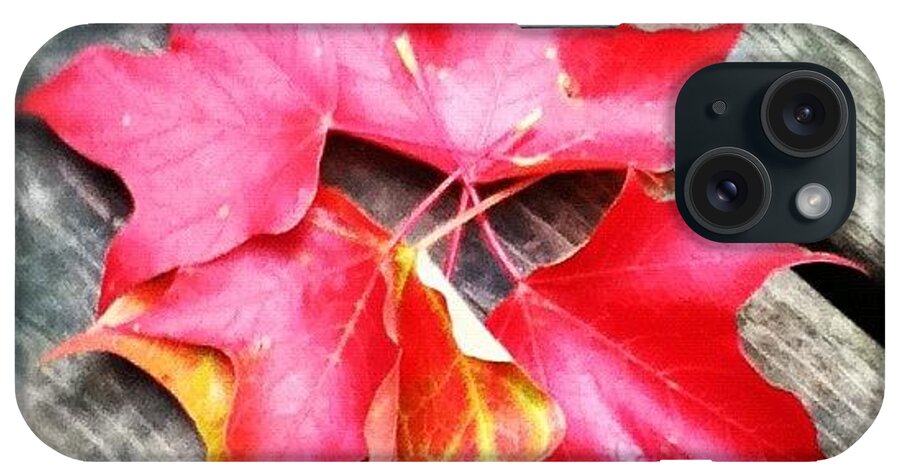 Igmn iPhone Case featuring the photograph Fall Colors by Jeff Seim