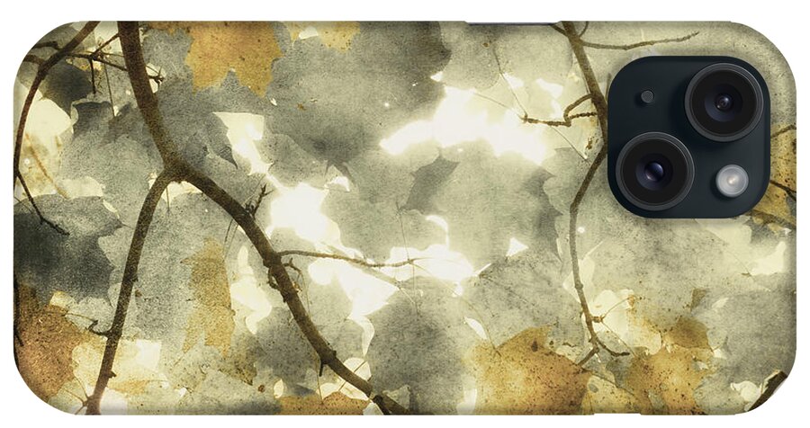 Fall iPhone Case featuring the photograph Fall Dance by Mary Underwood