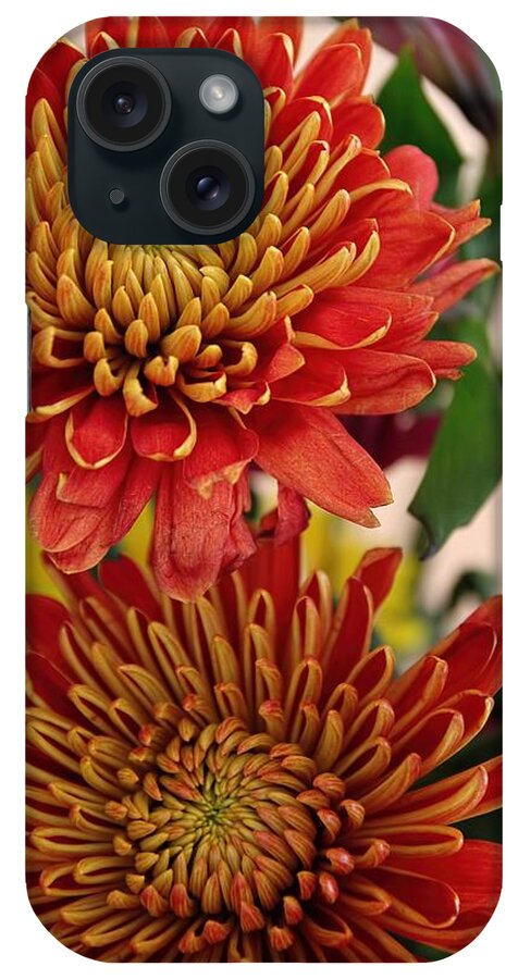 Fall Flowers iPhone Case featuring the photograph Fall Flowers by Lynn Jordan