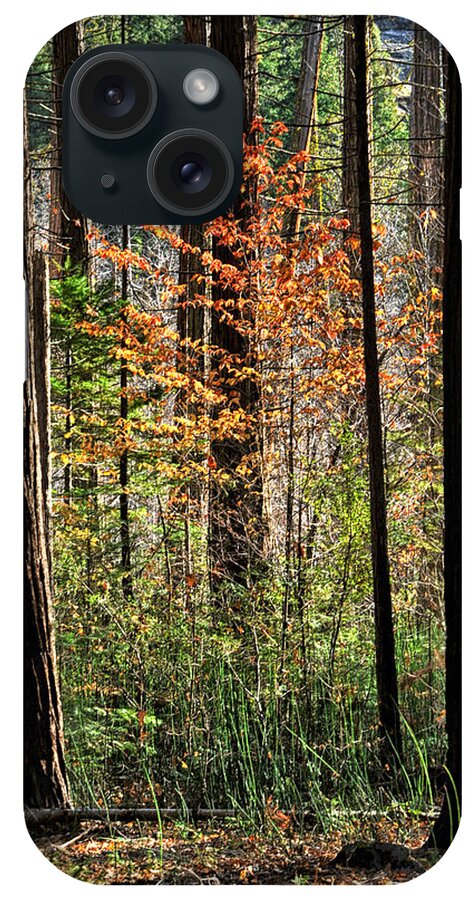 Fall iPhone Case featuring the photograph Fall in Yosemite by Cat Connor