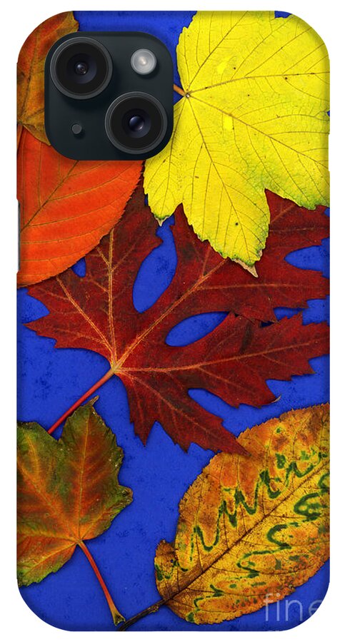 Fall Leaves iPhone Case featuring the photograph Fall Leaves by AJ Photos