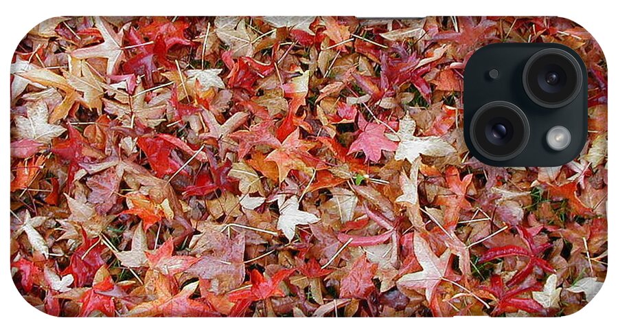 Leaves iPhone Case featuring the photograph Fall Leaves by Bev Conover