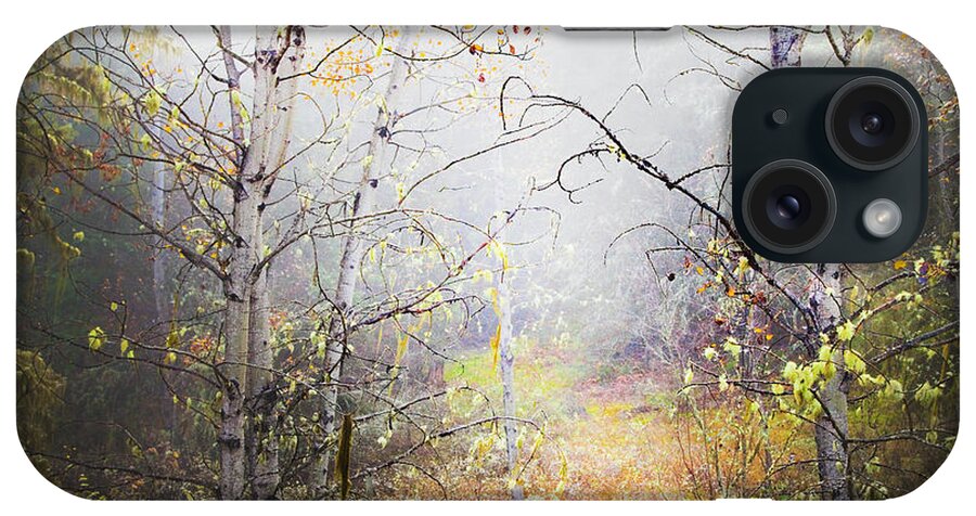 Landscape iPhone Case featuring the photograph Fall Mist by Theresa Tahara