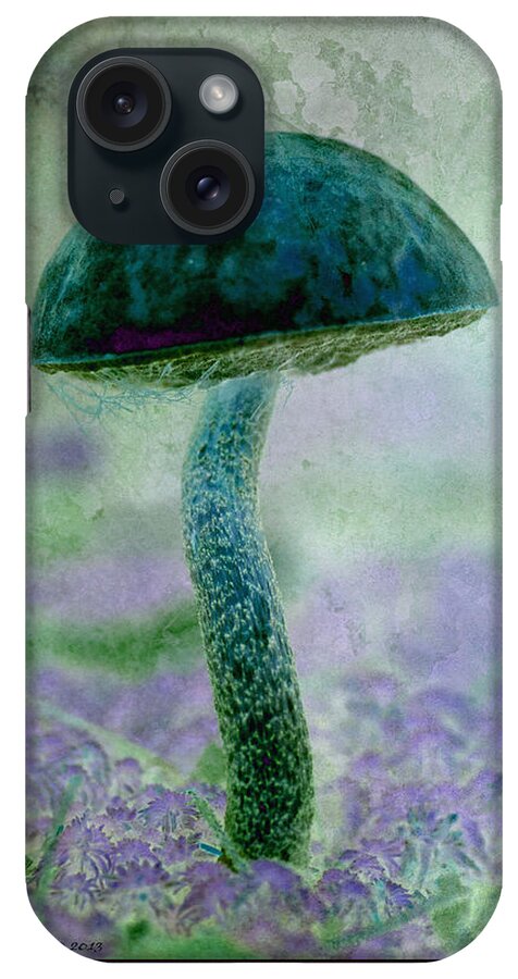Mushroom iPhone Case featuring the photograph Fall Mushroom 19 by WB Johnston