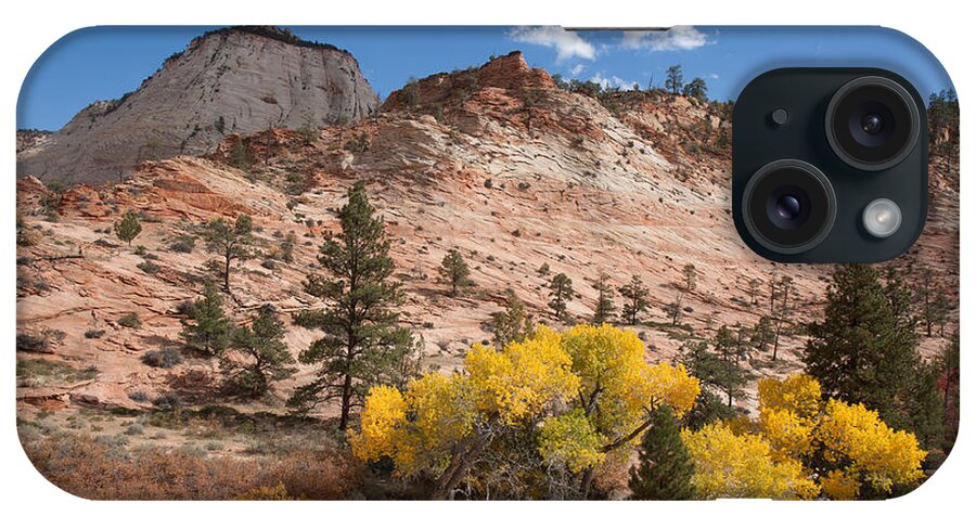 Nature iPhone Case featuring the photograph Fall Season at Zion National Park by John M Bailey