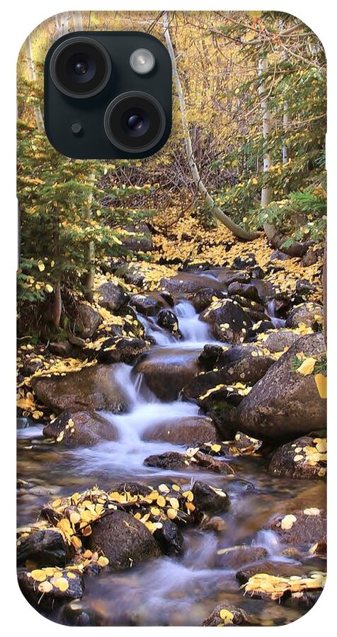 Aspens iPhone Case featuring the photograph Fall Stream by Mark Robert Bein