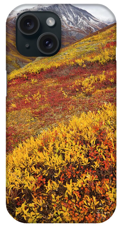 00345445 iPhone Case featuring the photograph Fall Tundra And First Snow by Yva Momatiuk John Eastcott