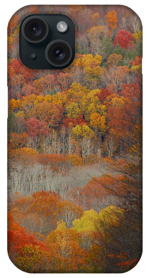 Fall iPhone Case featuring the photograph Fall Tunnel by Raymond Salani III