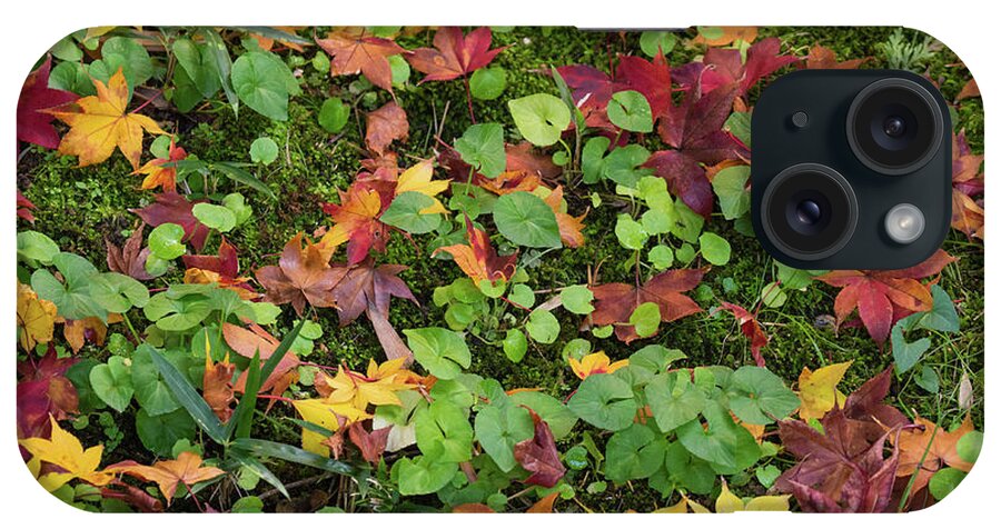 Photography iPhone Case featuring the photograph Fallen Autumnal Leaves On Ground by Panoramic Images