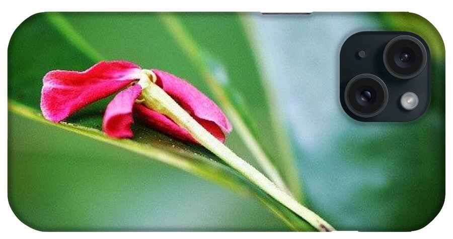 Beautiful iPhone Case featuring the photograph #fallen #flower by Leon Traazil