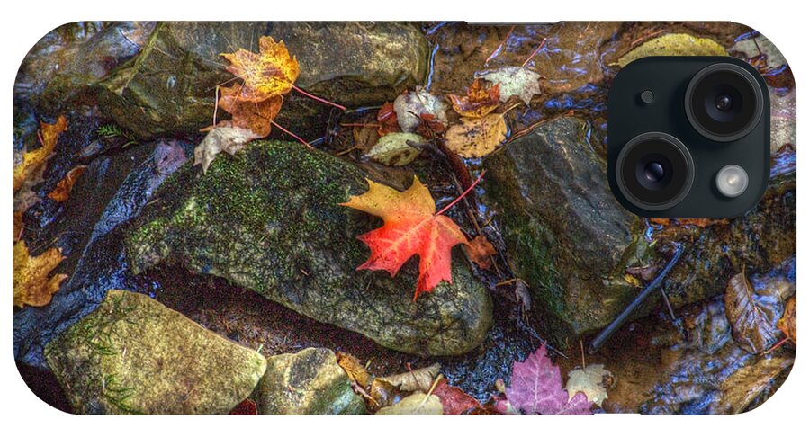 Autumn Leaf Photography iPhone Case featuring the photograph Fallen Glory by Patricia Dennis