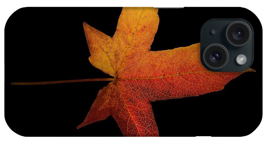 Fall iPhone Case featuring the photograph Fallen Leaf by Eric Wiles