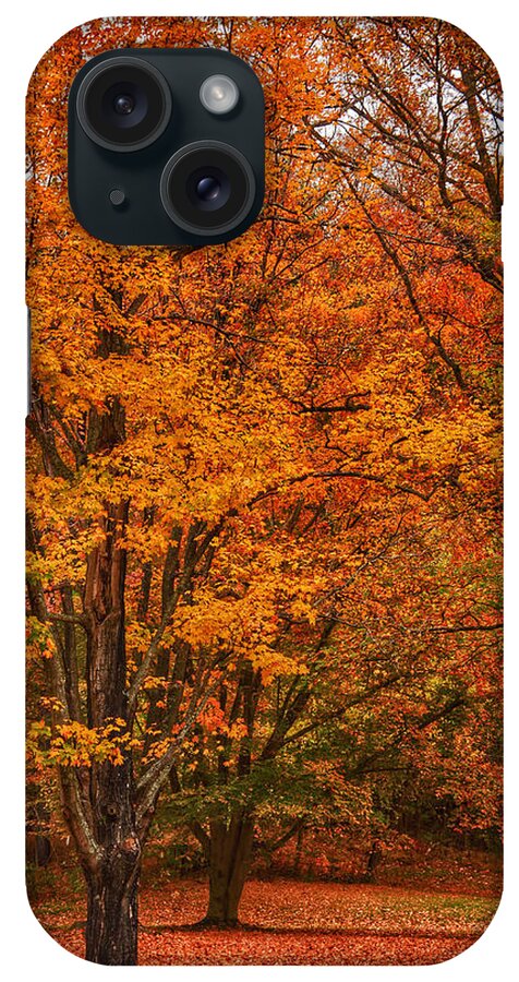 Autumn iPhone Case featuring the photograph Fallen Leaves II by Kathi Isserman