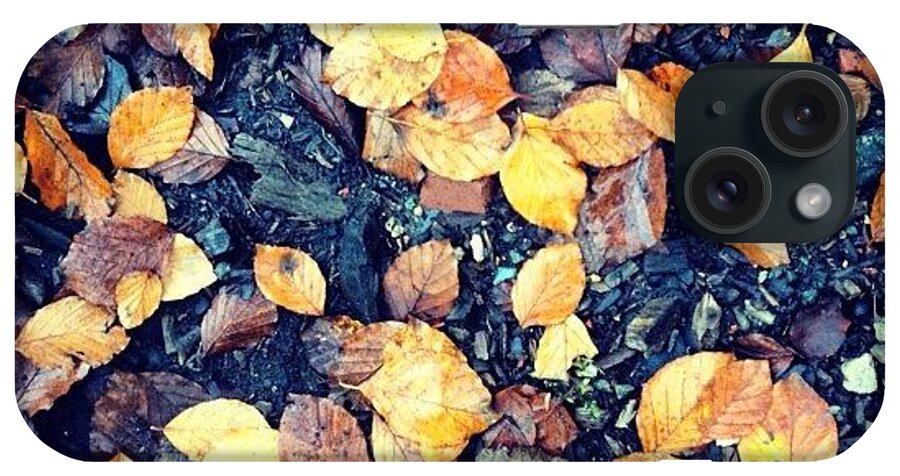 Squirrell iPhone Case featuring the photograph Fallen Leaves by Nic Squirrell