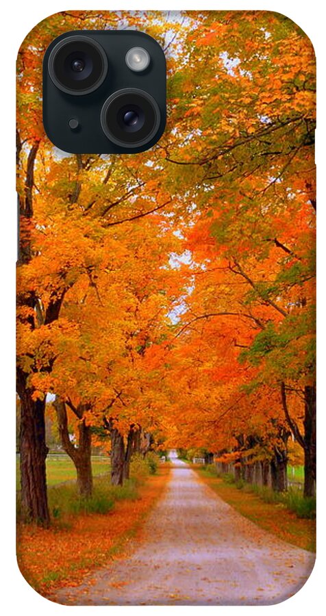 Autumn Photography iPhone Case featuring the photograph Falling For Romance by Lingfai Leung